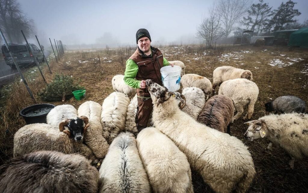 Hochansteckende Krankheit in NRW – Norovirus, Scharlach und Hasenpest: Ursachen, Symptome, Ansteckung und Schutz hochansteckende krankheit in nrw